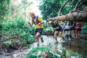 BIB: 
                            <button type="button" onclick="openModal(25449653)" class="btn btn-primary btn-sm float-right btn-popup" data-toggle="modal" data-target=".modal-high-quality">
                        <i class="fas fa-shopping-cart"></i> Add to Cart
                    </button>
                                            <button type="button" onclick="isThisMe(25449653, true)" class="btn btn-success btn-sm float-right btn-popup btn-isme hidden" data-toggle="tooltip" data-placement="bottom" title="นี่คือรูปของคุณใช่ไหม คลิกที่นี่เพื่อเอาเข้าอัลบั้ม">
                        <i class="fas fa-plus"></i> Add to album
                    </button>
                    <button type="button" onclick="isThisMe(25449653, false)" class="btn btn-warning btn-sm float-right btn-popup btn-isnotme hidden">
                        <i class="fas fa-ban"></i> Remove from album
                    </button>